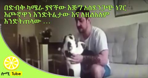 Despicable Woman Catches Her Fiancee Beating Her Dog On A Hidden Camera & Cancels Wedding!