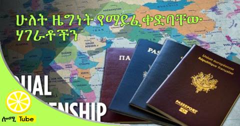 Which Countries Don't Allow Dual Citizenship?