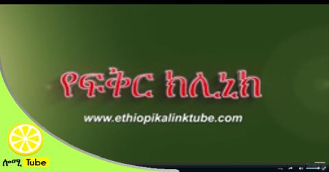 EthiopikaLink - Questions to Ask Before Getting Married