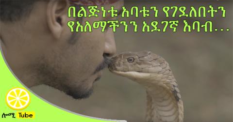 Could You Kiss A Snake?